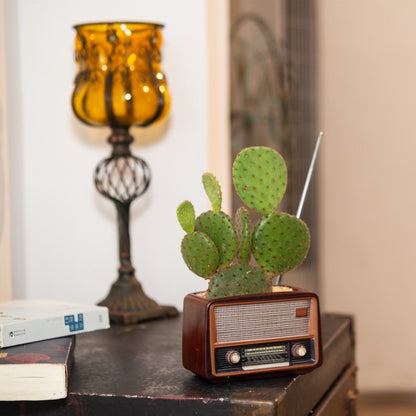 Radio Plant Pot