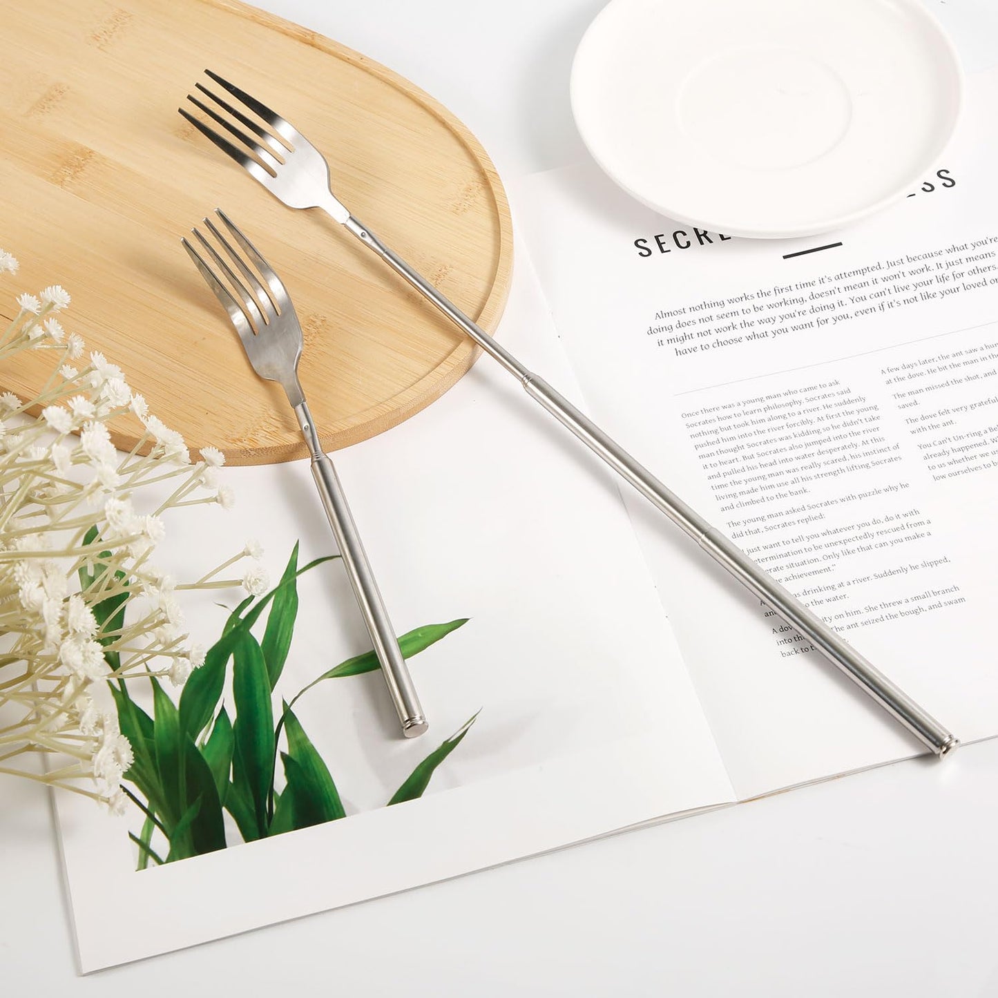 Extendable Fork