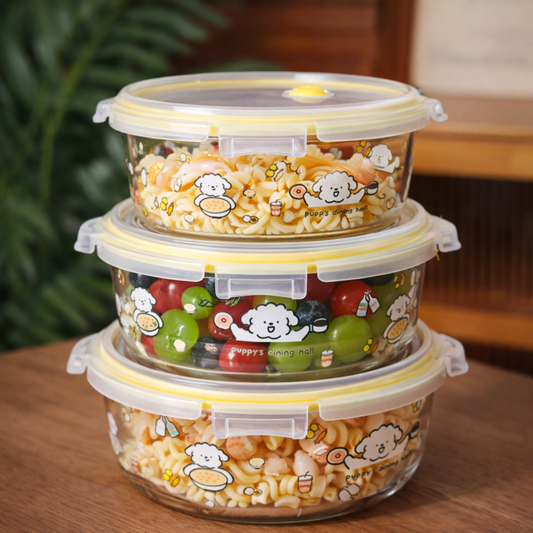 Leakproof Glass Food Container