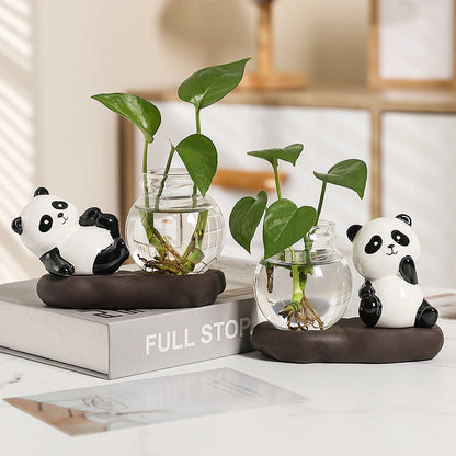 Panda Plant Glass Vase