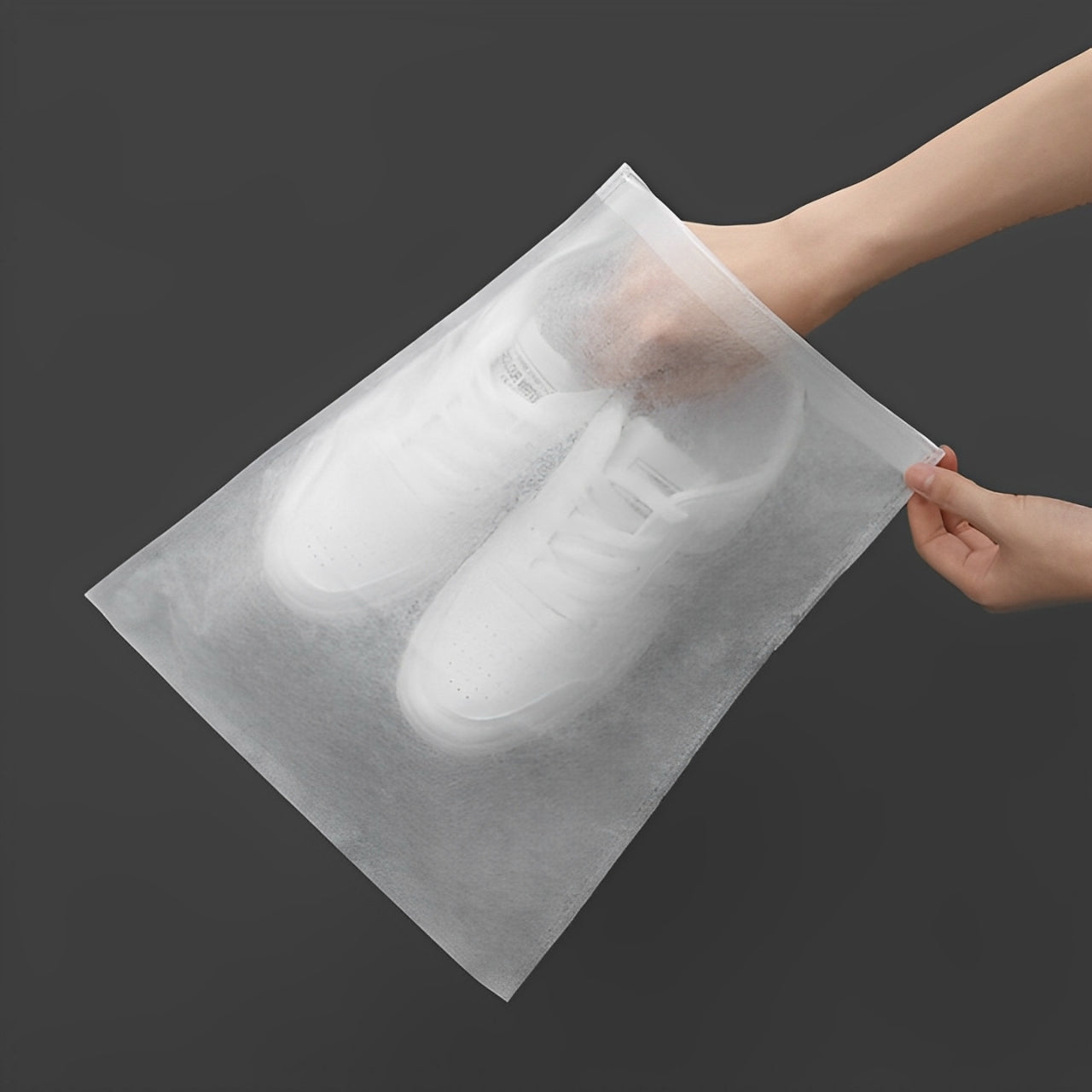 Shoe Storage Bag