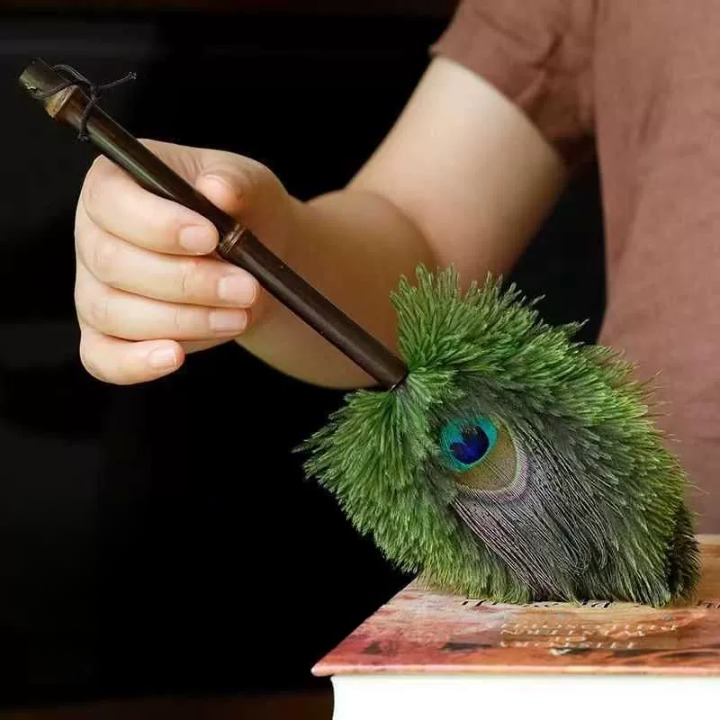 Peacock Feather Duster