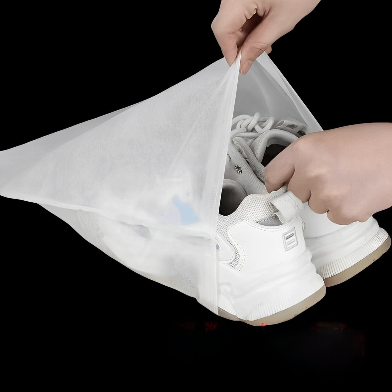 Shoe Storage Bag