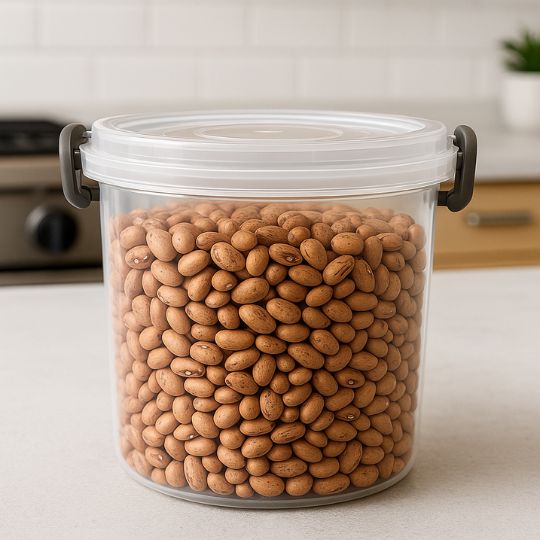Food Storage Container