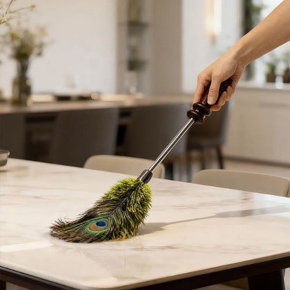 Peacock Feather Duster
