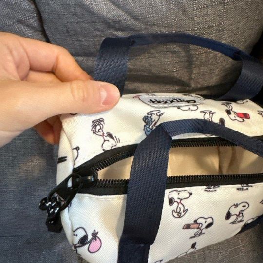 Peanuts cartoon travel bag