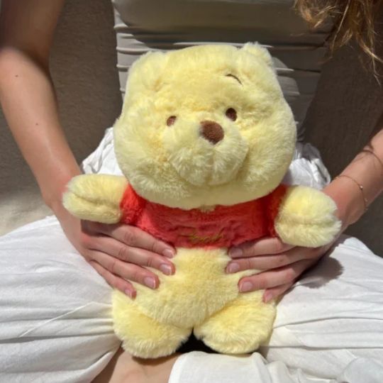 Pooh Warm Water Bag