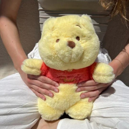 Pooh Warm Water Bag