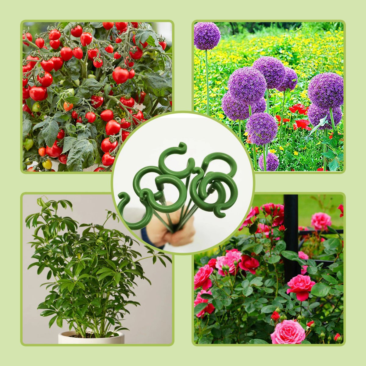 Plant Support  (10PCS)
