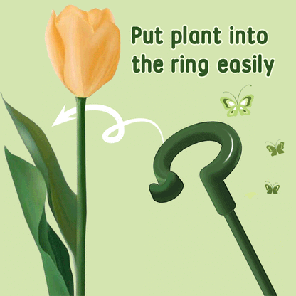 Plant Support  (10PCS)