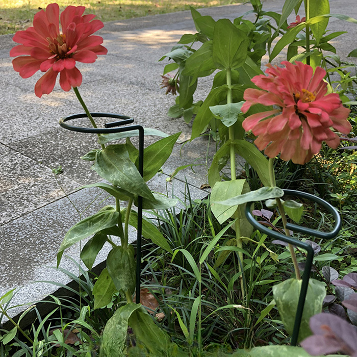 Plant Support  (10PCS)