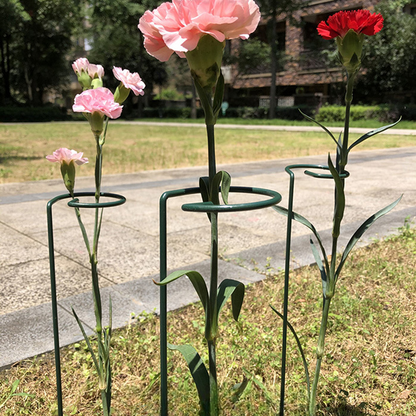 Plant Support  (10PCS)