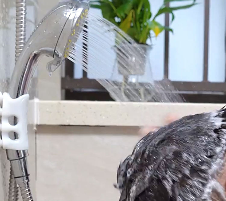 Silicone Shower Suction Holder