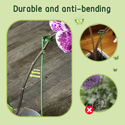 Plant Support  (10PCS)