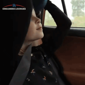 Car Seat Headrest Pillow